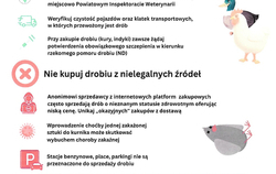 Zdjęcie do Kupujesz dr&oacute;b z nielegalnych źr&oacute;deł ? Ryzykujesz...
