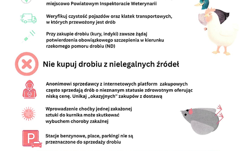 Zdjęcie do Kupujesz dr&oacute;b z nielegalnych źr&oacute;deł ? Ryzykujesz więcej niż myślisz!